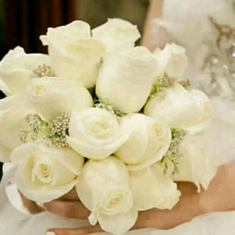 ℎ𝑎𝑙𝑖𝑑𝑎𝒎