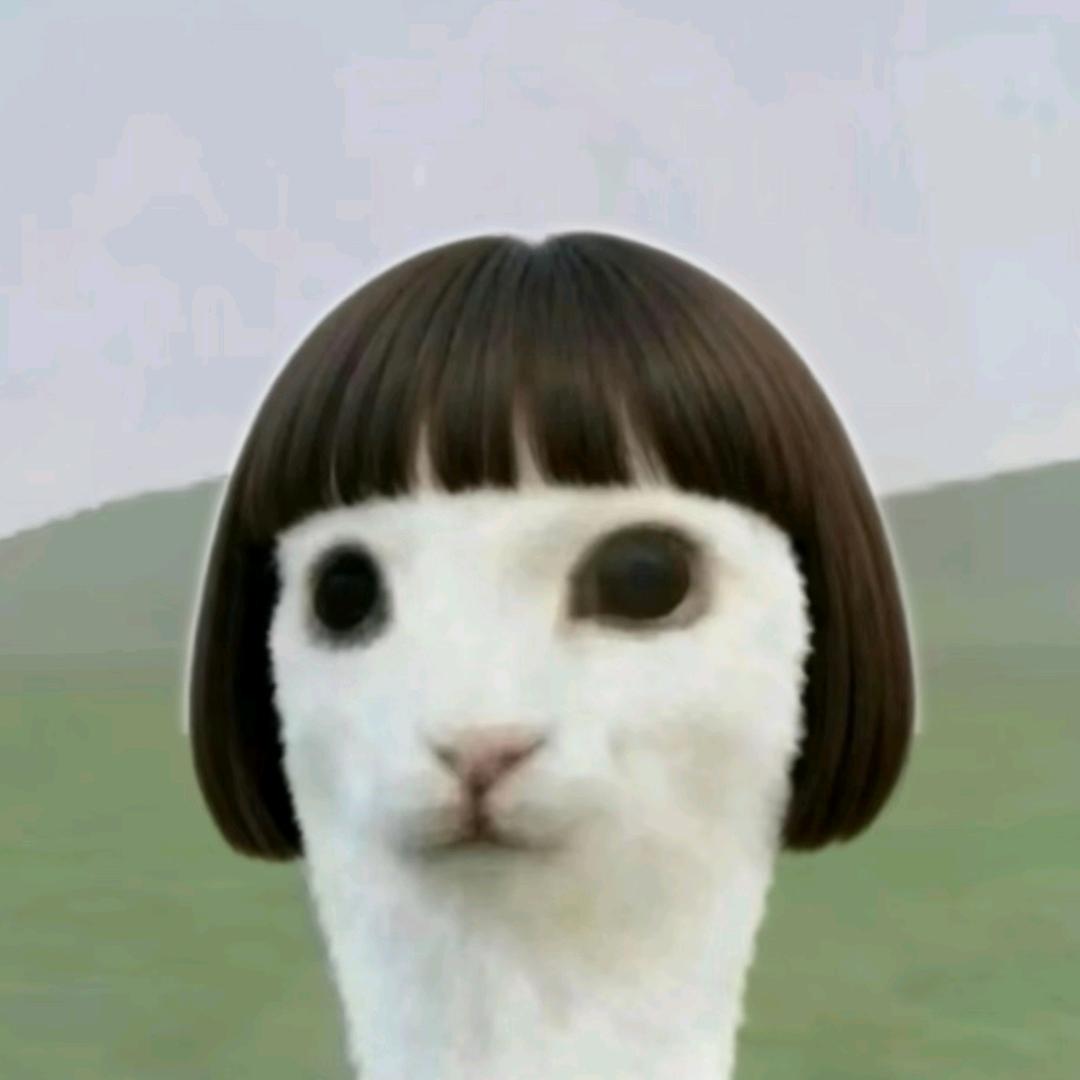 小叶子🥥🥥🥥