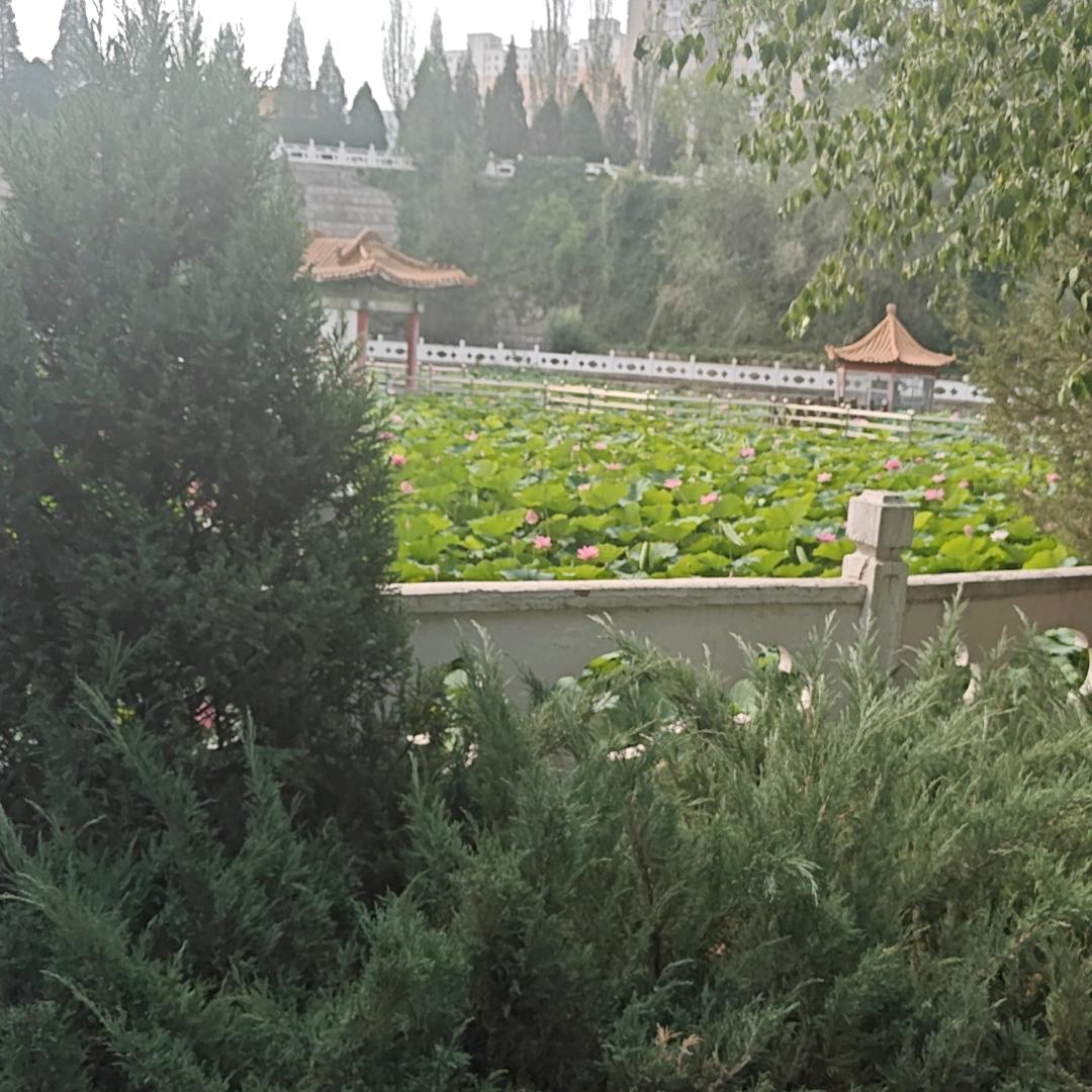 无畏
