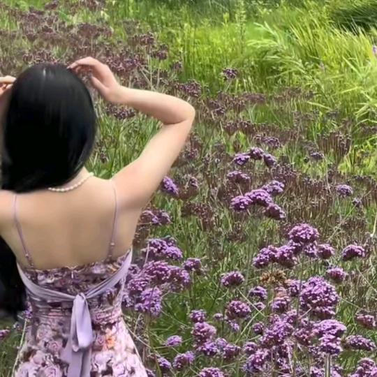 🌼芊芊爱🌼