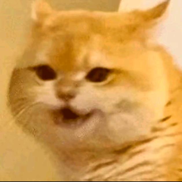 马超传媒（刀疤甜）