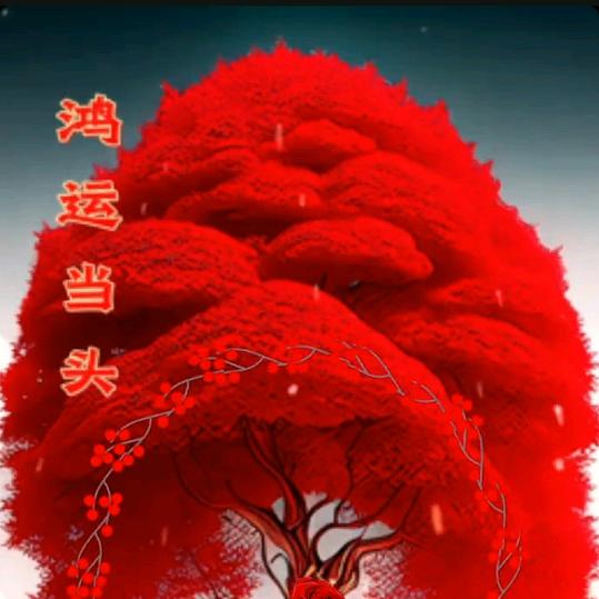 椰子🌹