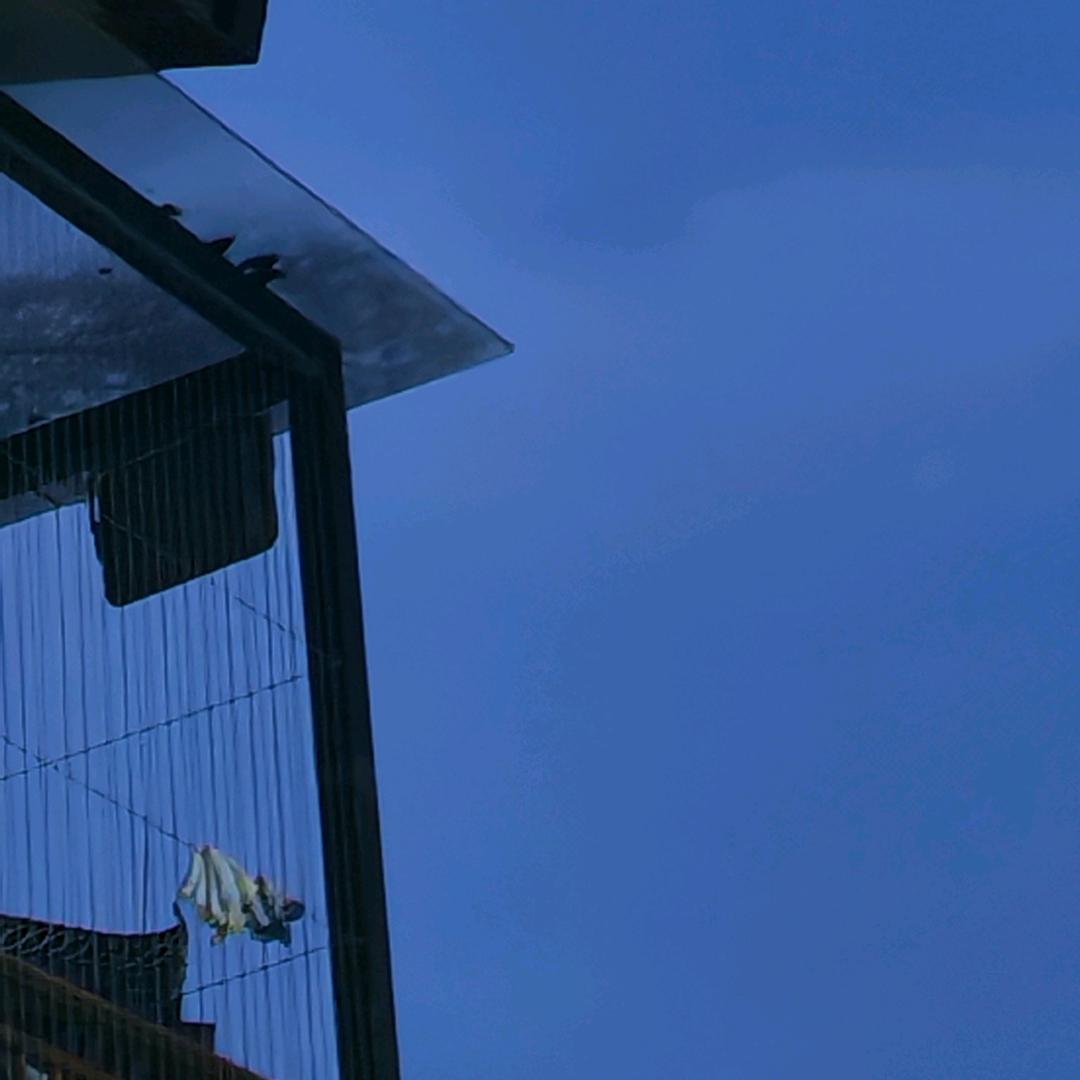 🐾不跟你抢🍼