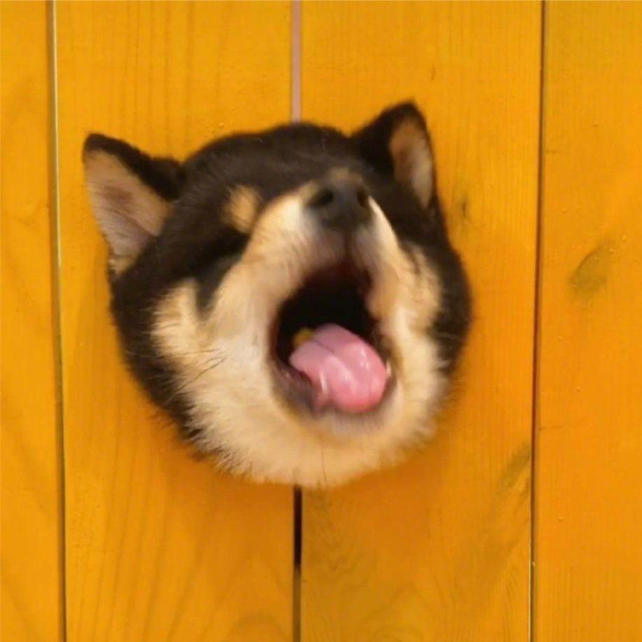 ！