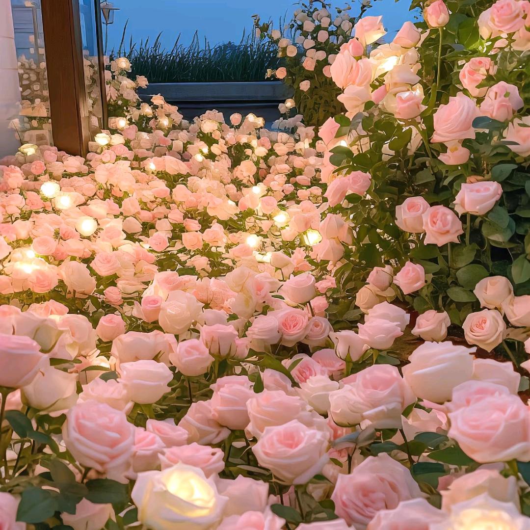 每日打卡变瘦瘦