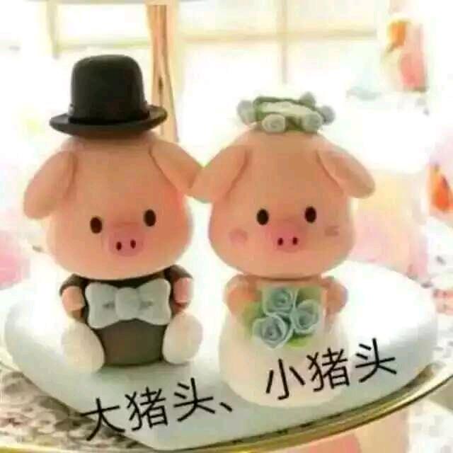 🈚️hui这一生