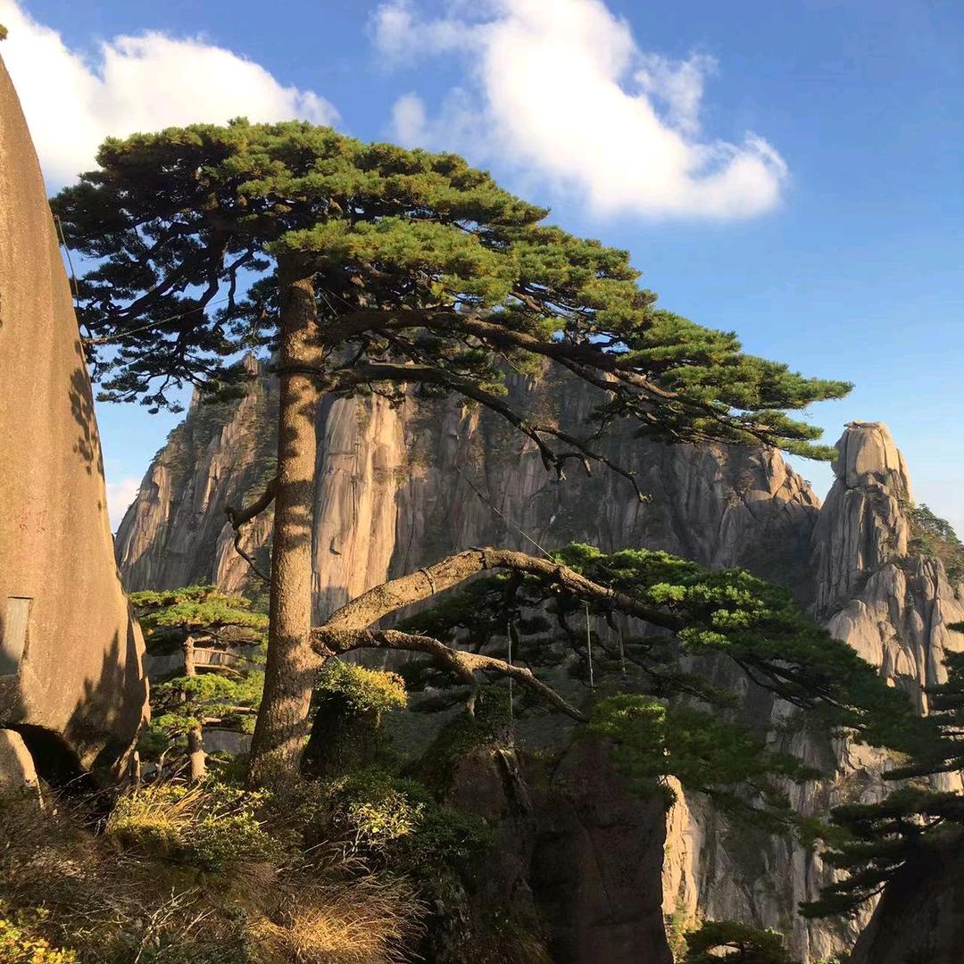 平平淡