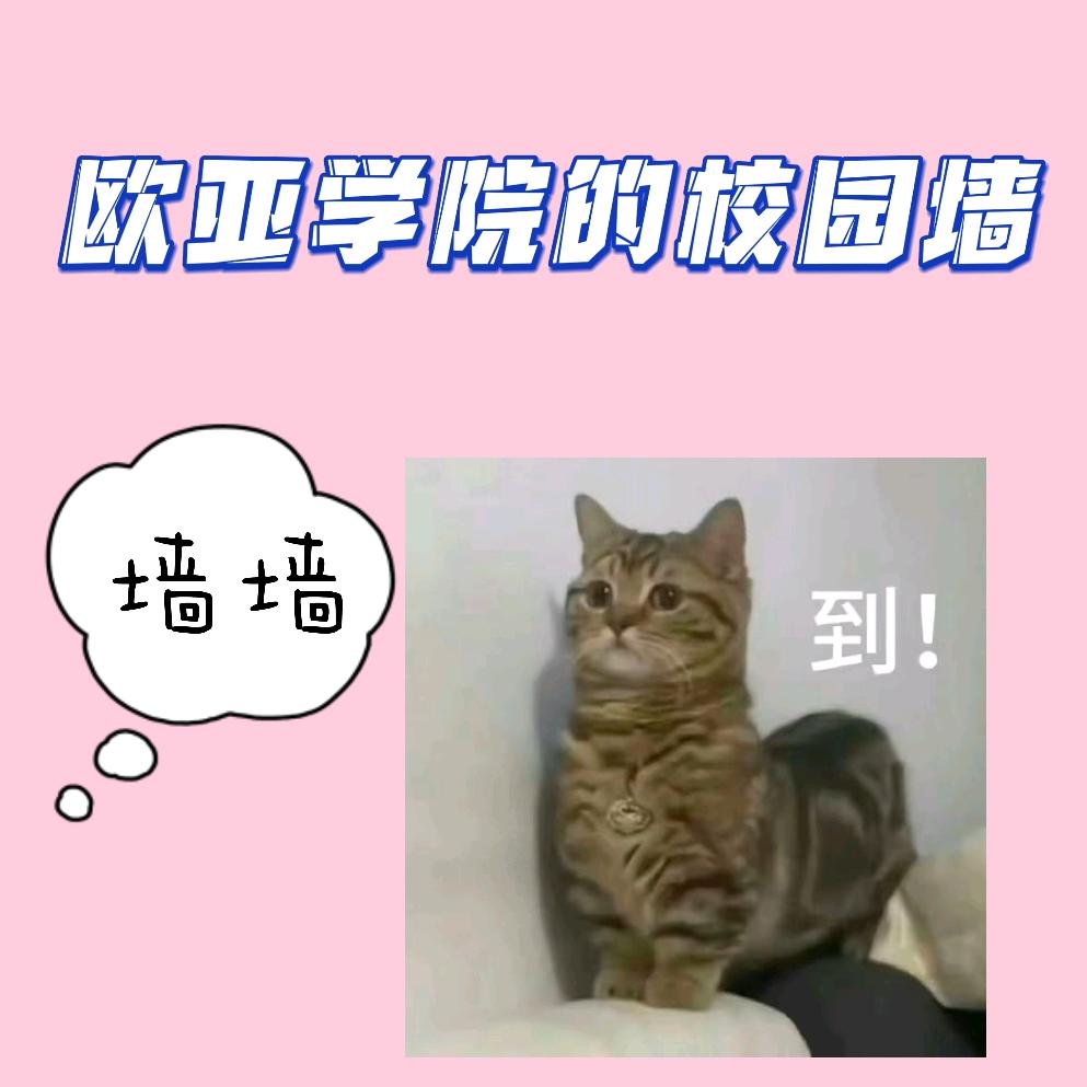 西安欧亚校园墙