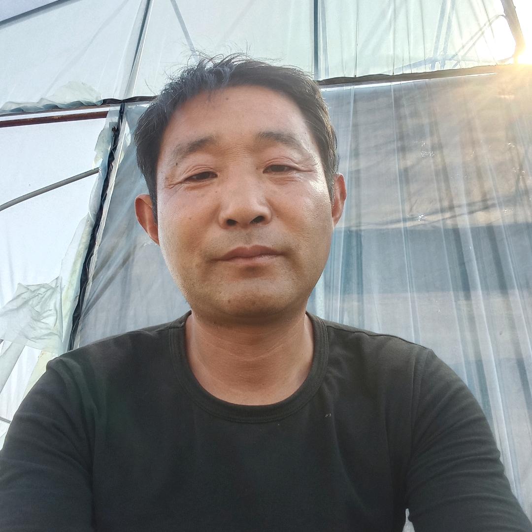 风雨兼程