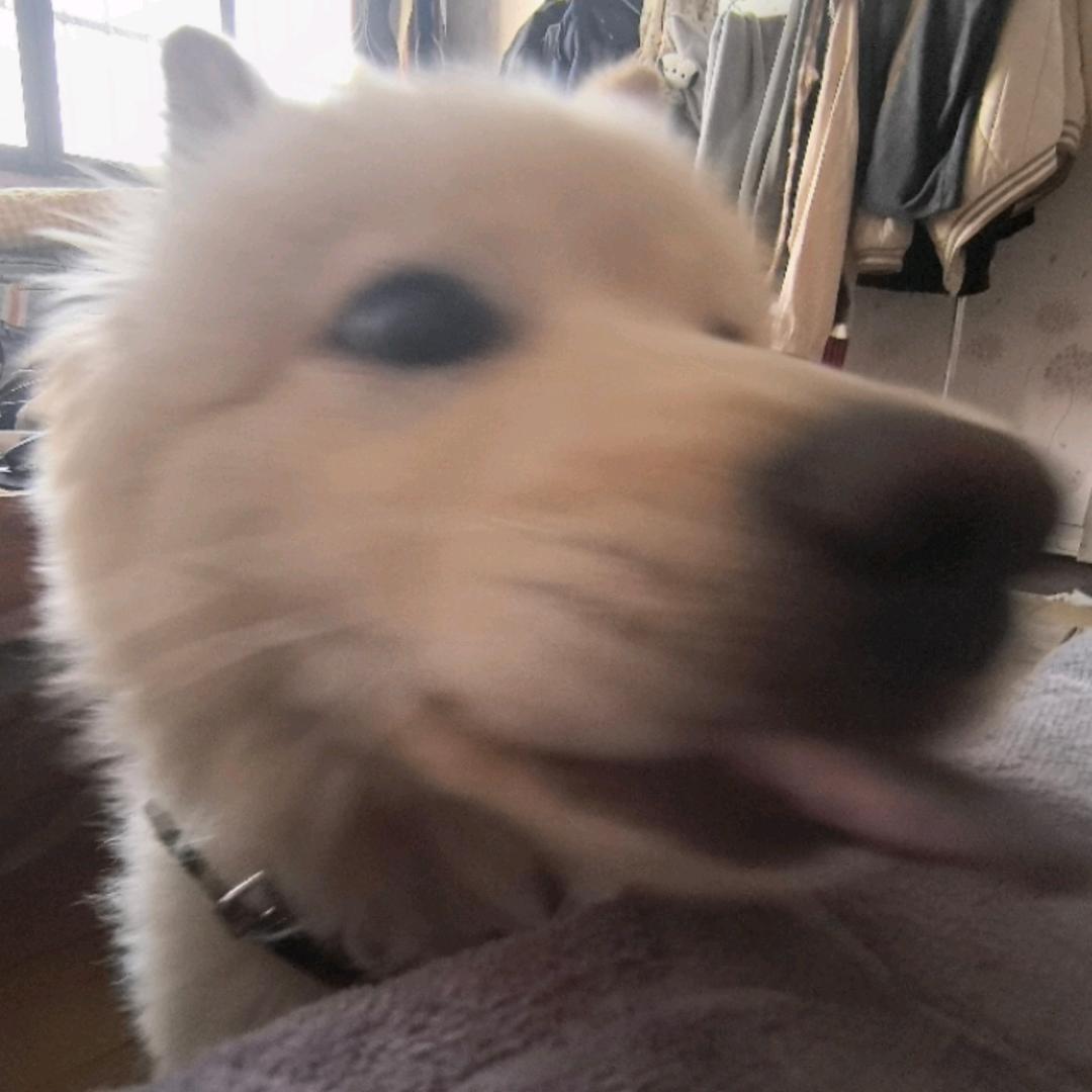 爱吃烤鸭腿