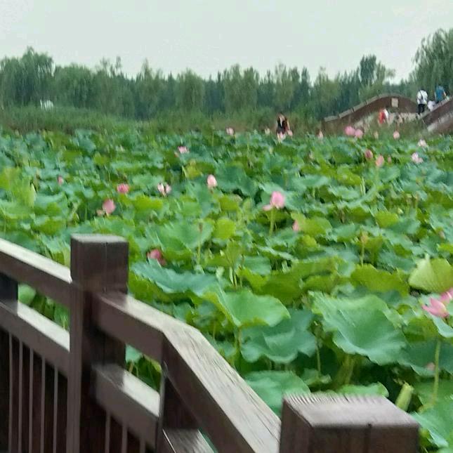 快乐人生