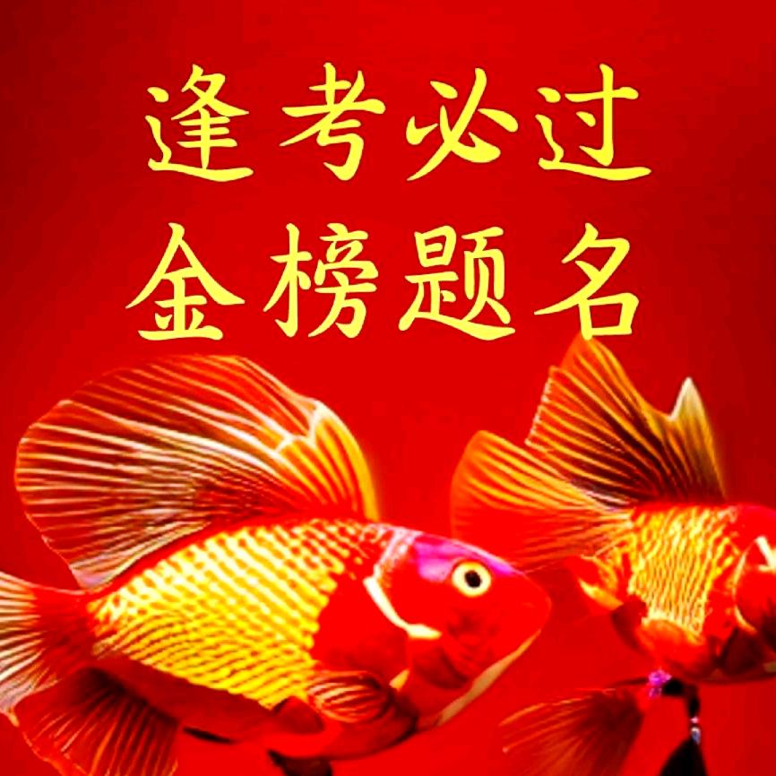 志愿填报（河北）