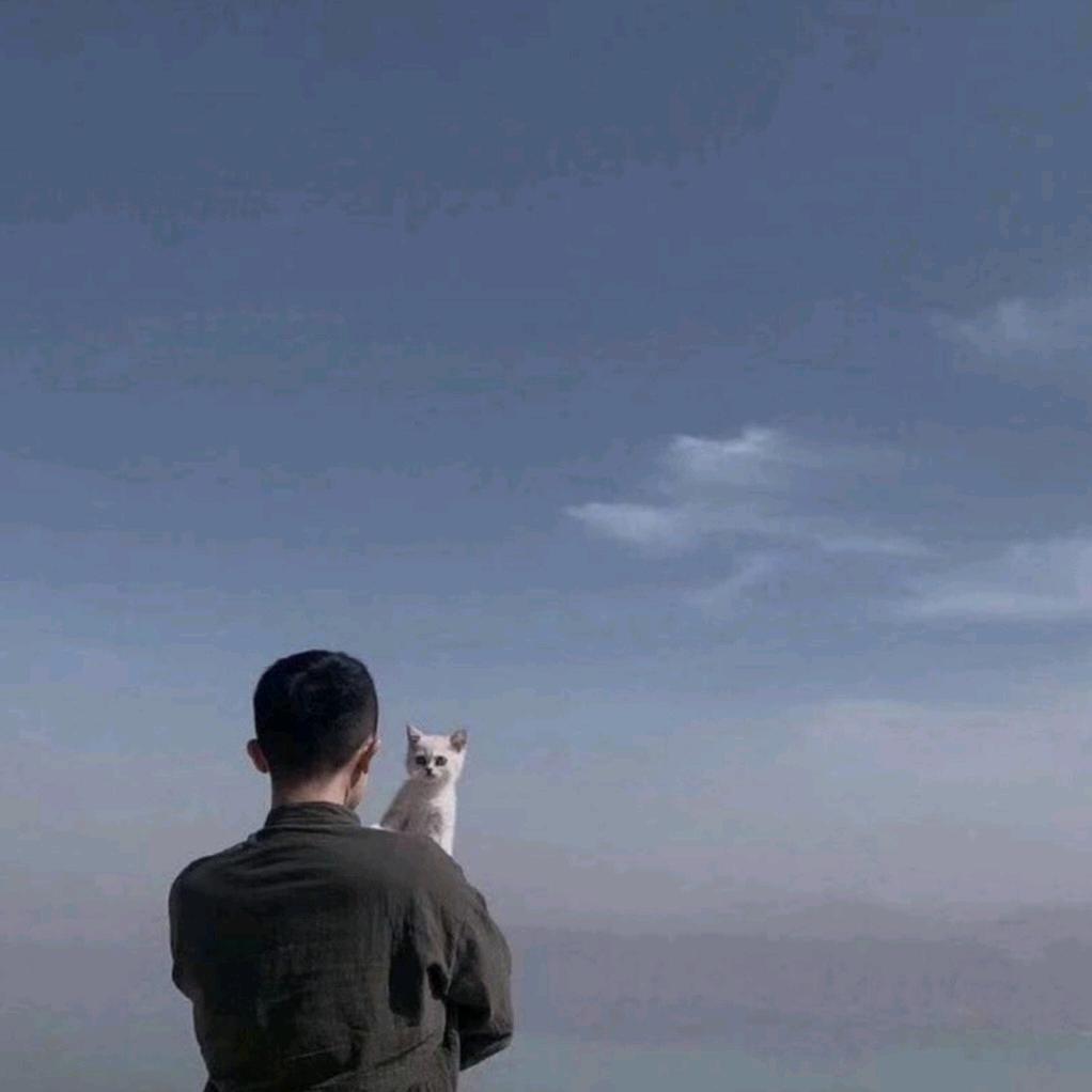 安瑾辰