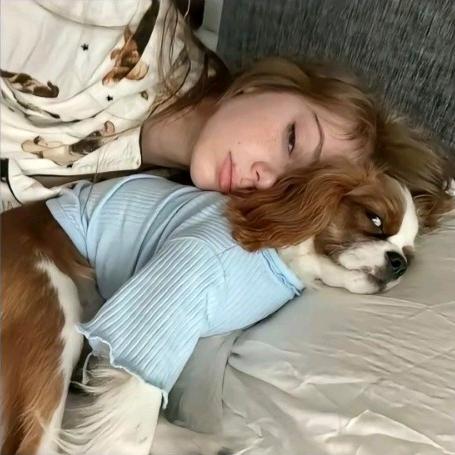 💤