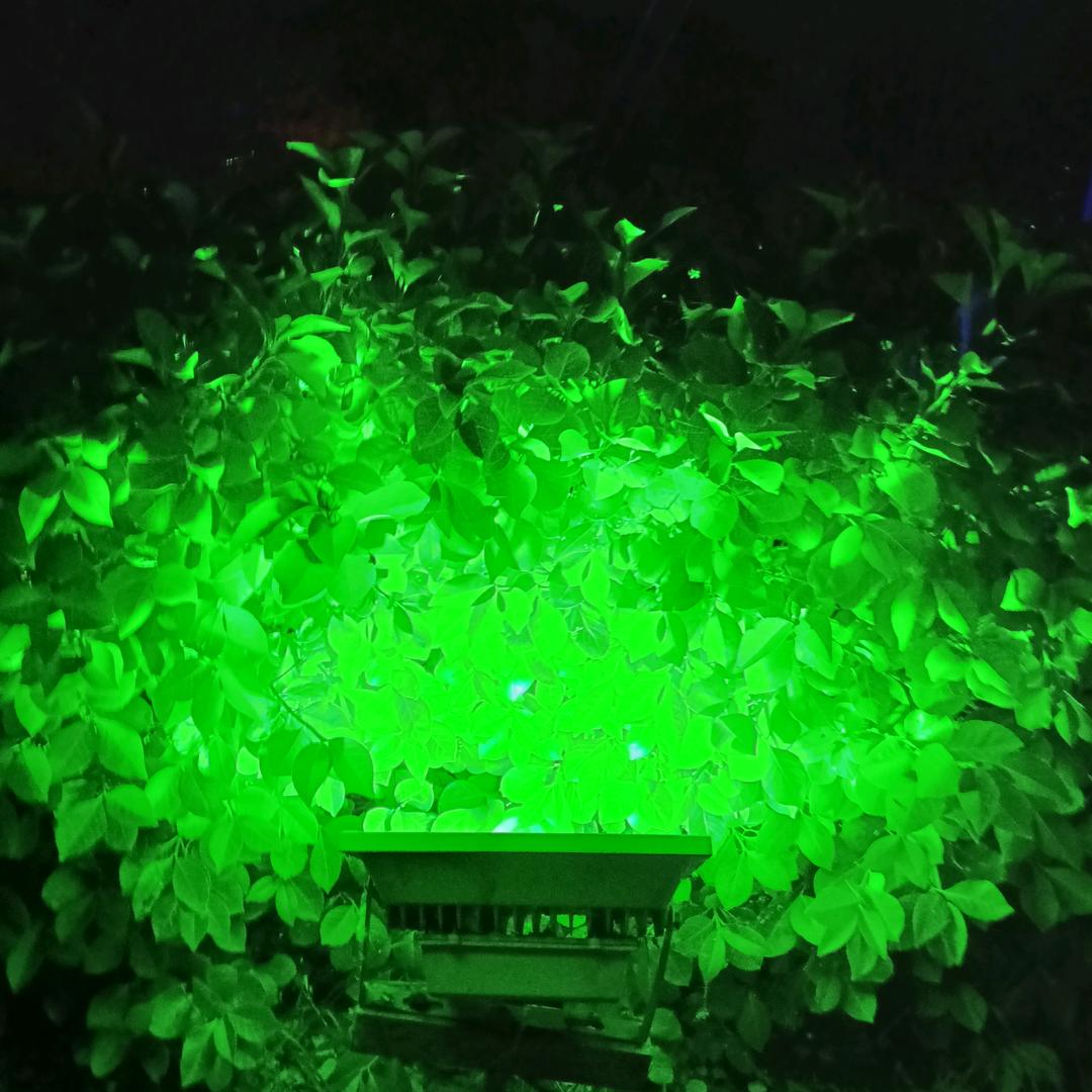 💝老姐一个人💝💞