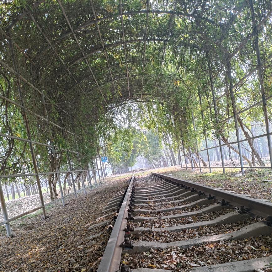 谁是谁的谁的谁