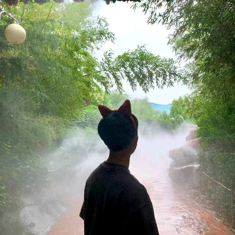 菠萝（三角洲行动）