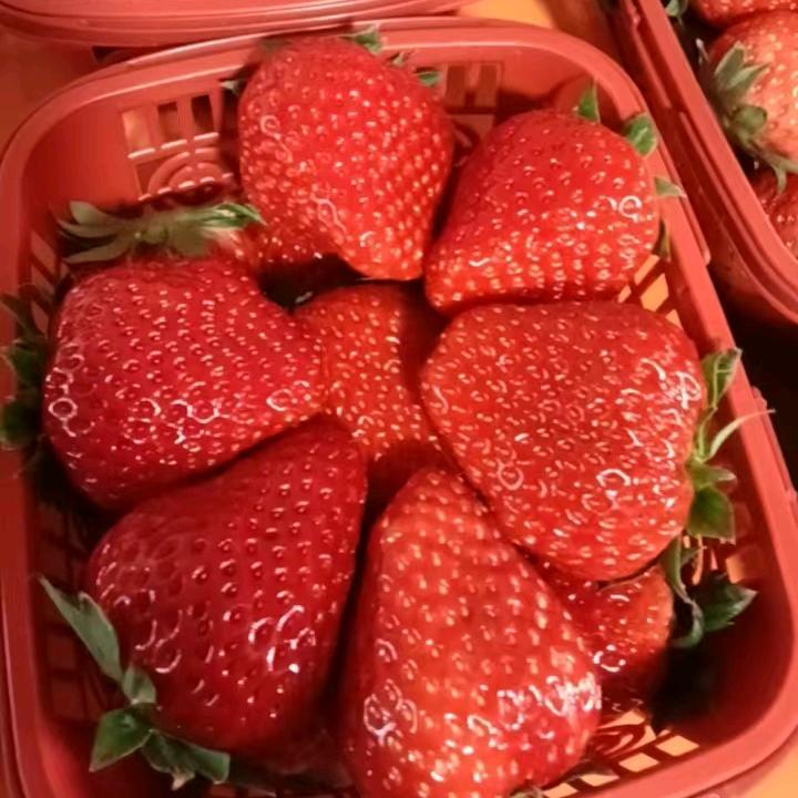 萍，鹏，阳，爸爸