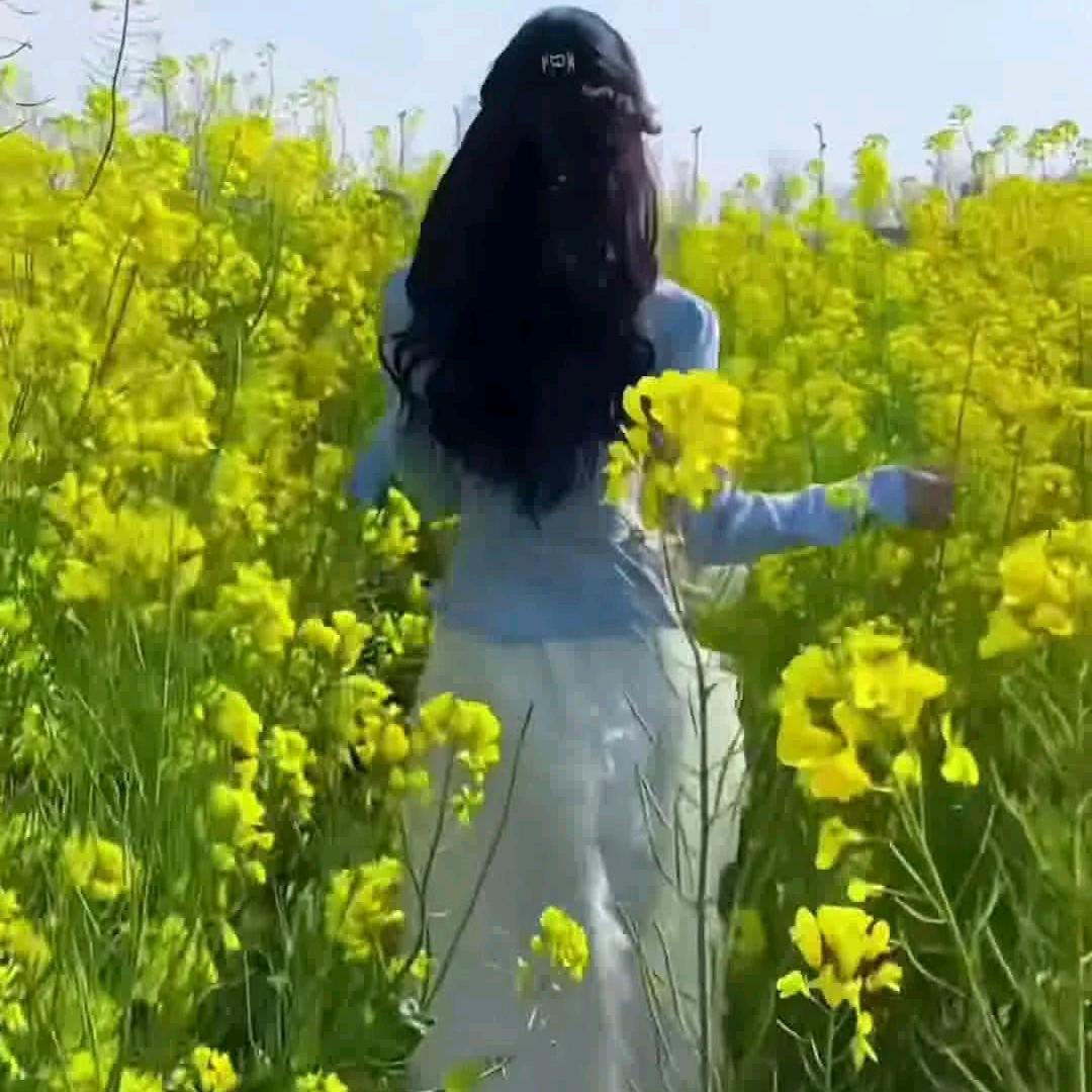 秋天的童话