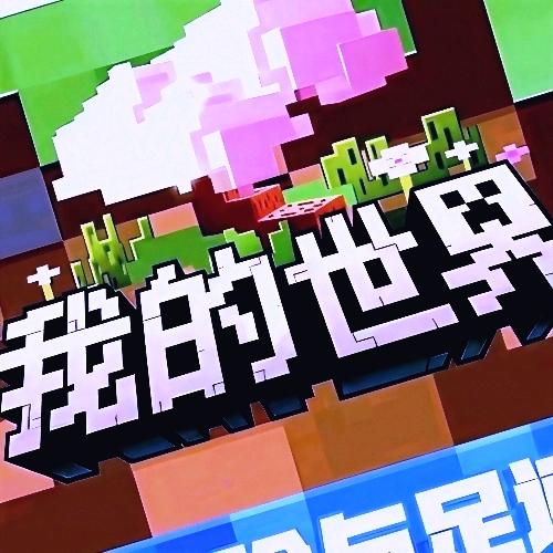 Minecraft; my world