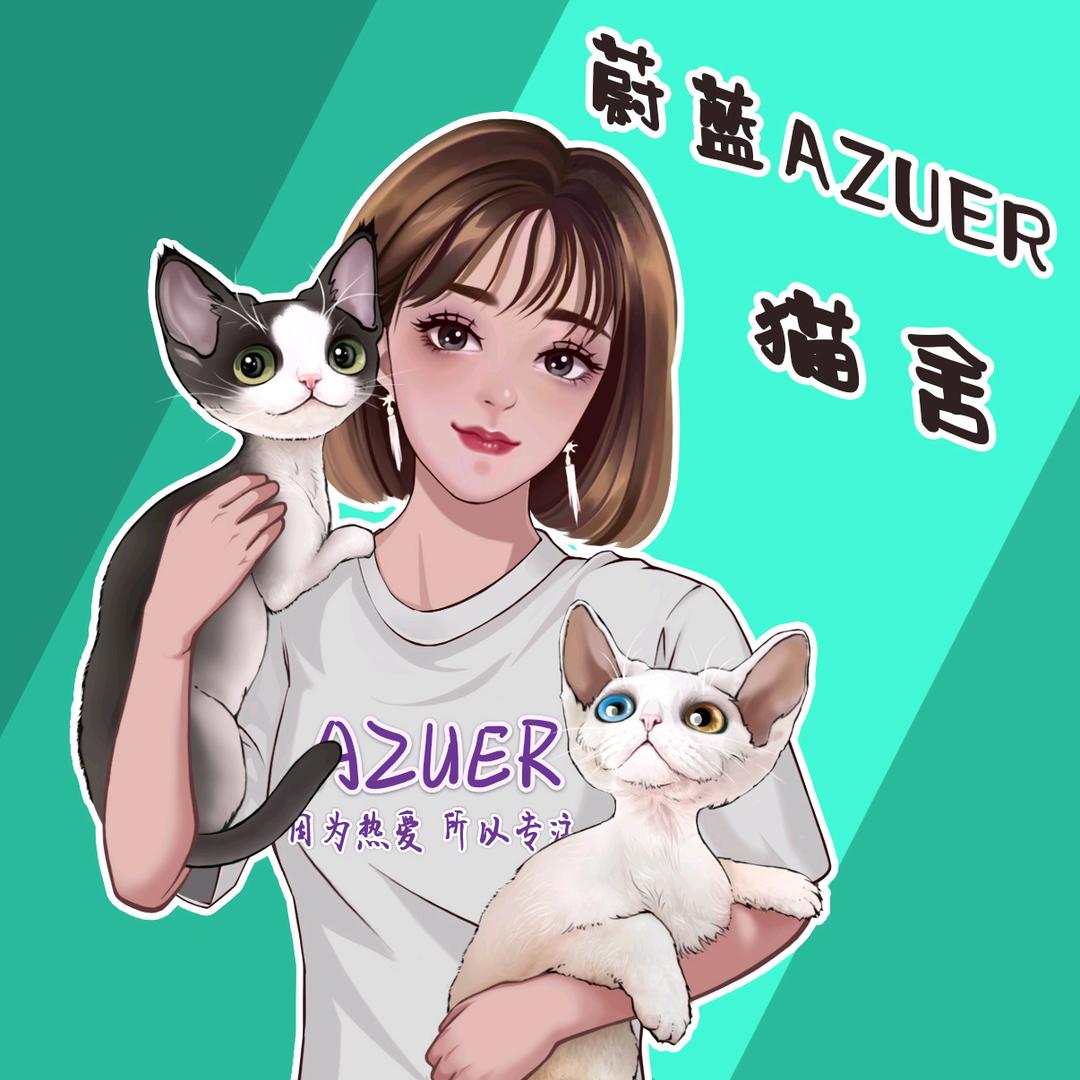 蔚蓝家的德文猫