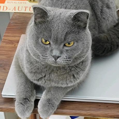 小miu的打工日记