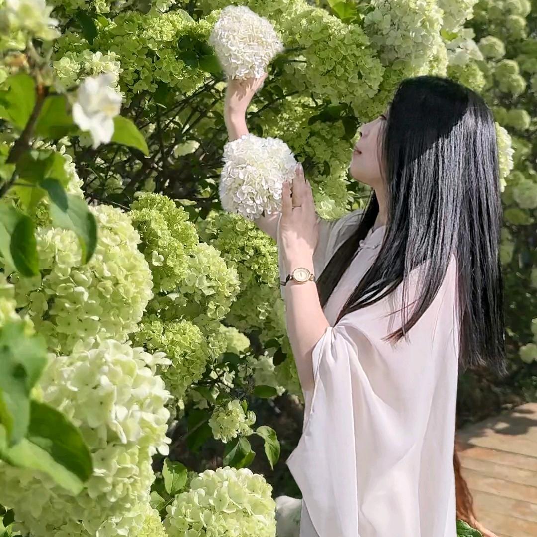 阳阳