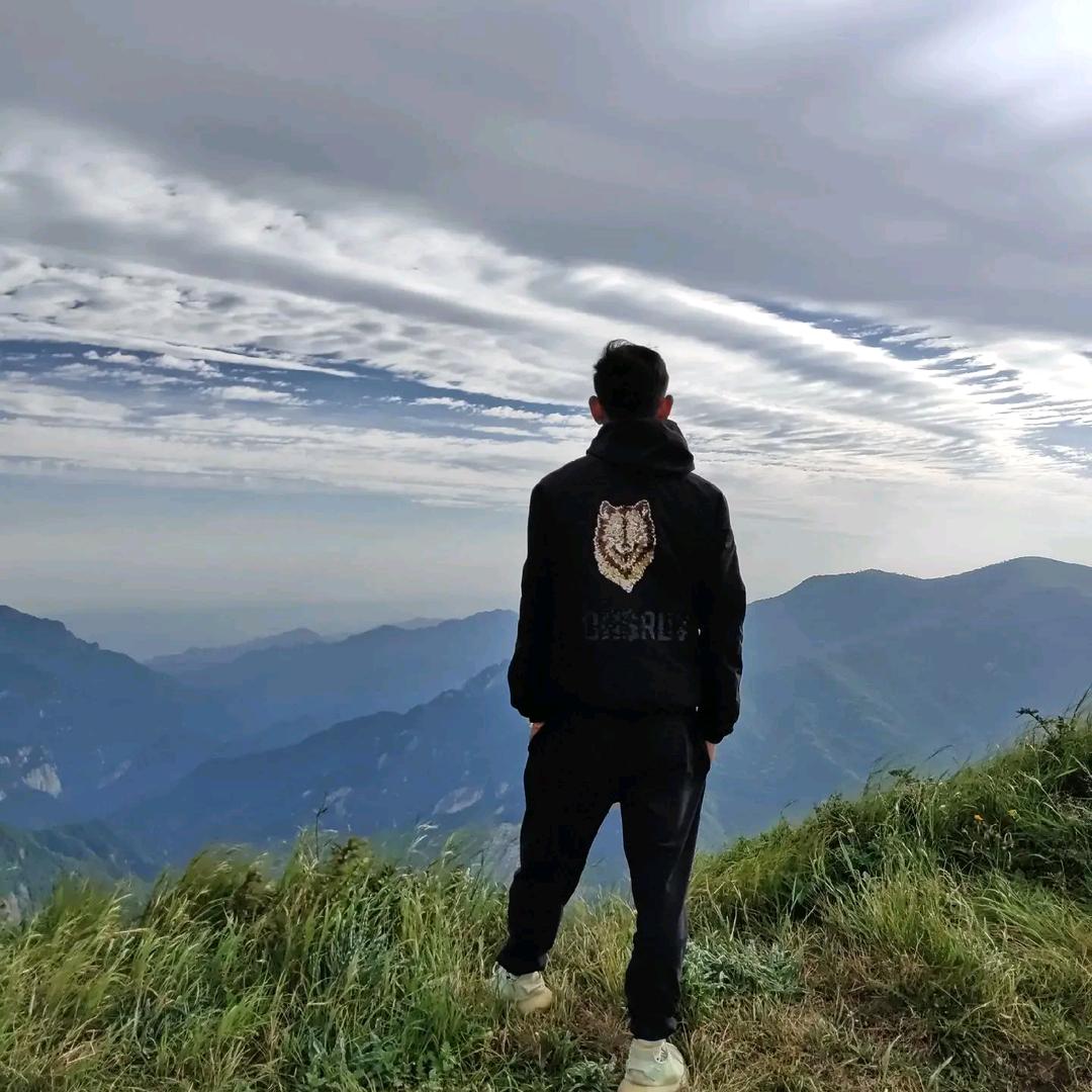 用心若镜、东北狼