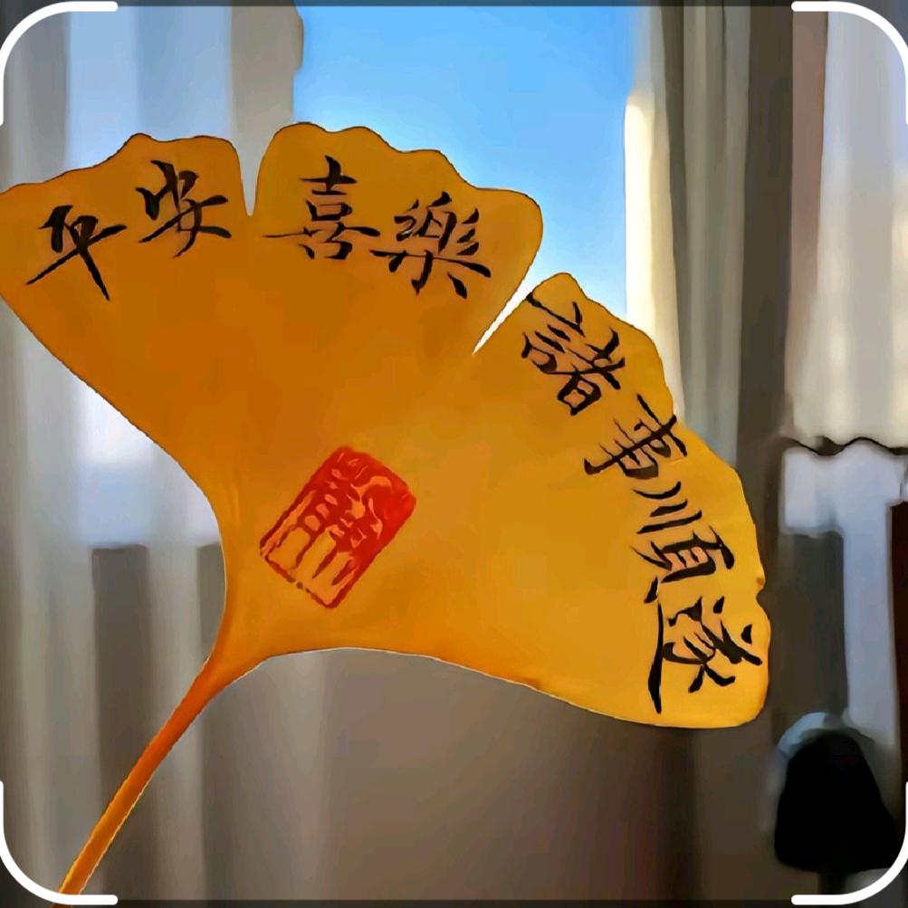 ᰔᩚº静沐暖阳