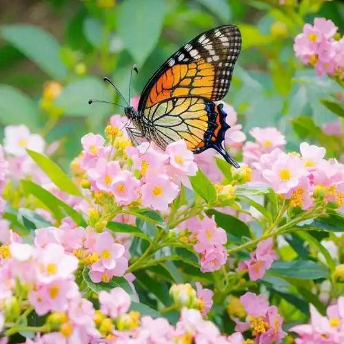 💕一切🎀静好💝