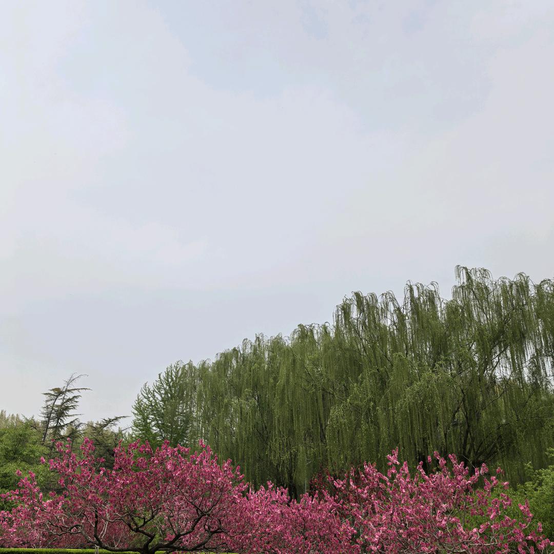 时光机