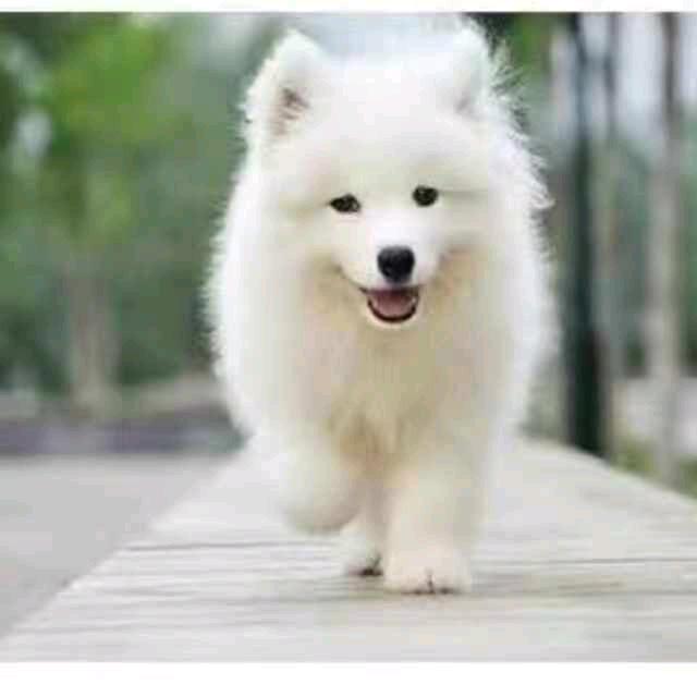 🍒*^O^可心*^O^*（拒绝私聊