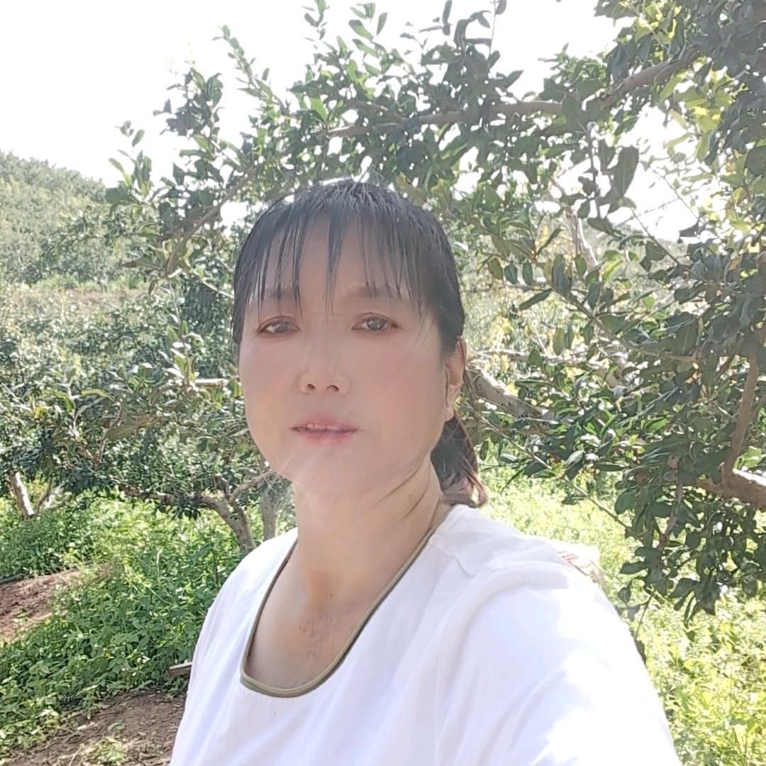 shang🌸wo❤️biehouhui