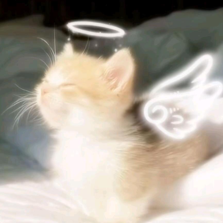 摸鱼内卷头像