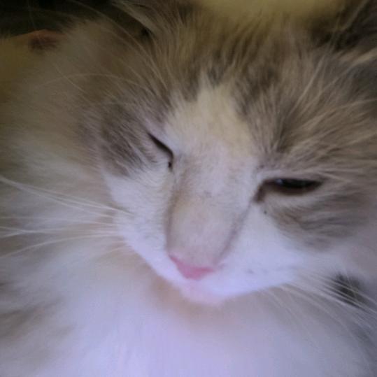 不吃饱怎么睡得着