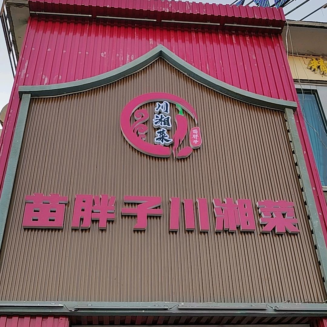 苗胖子川湘菜馆