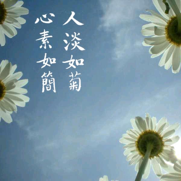 心素如简  人淡如菊