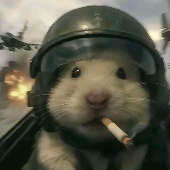 小华（三角洲）