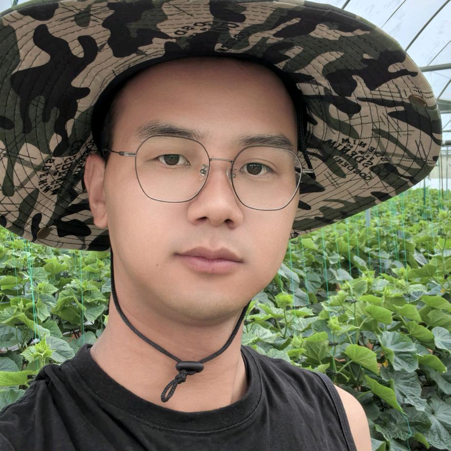 种黄瓜的大有（向阳而生）