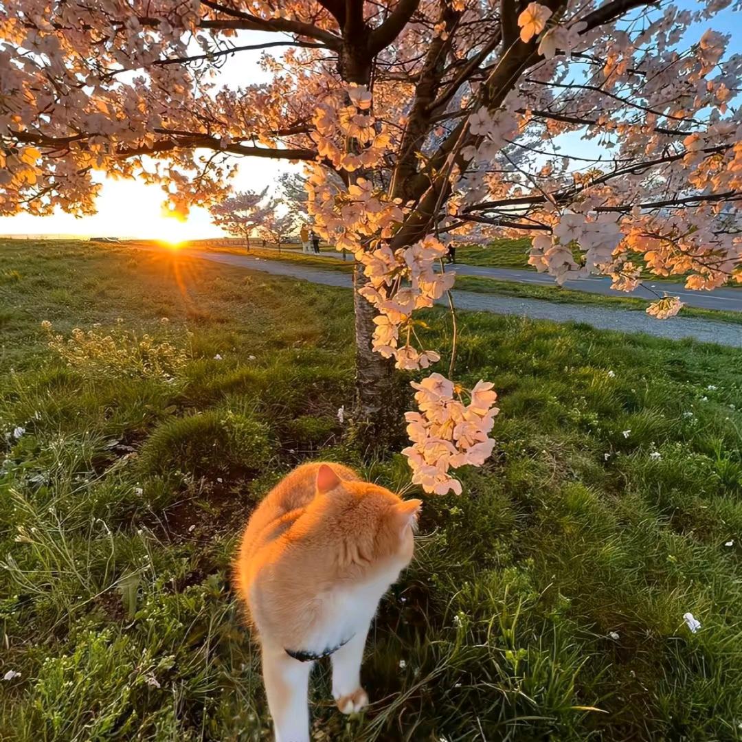 小郑学长