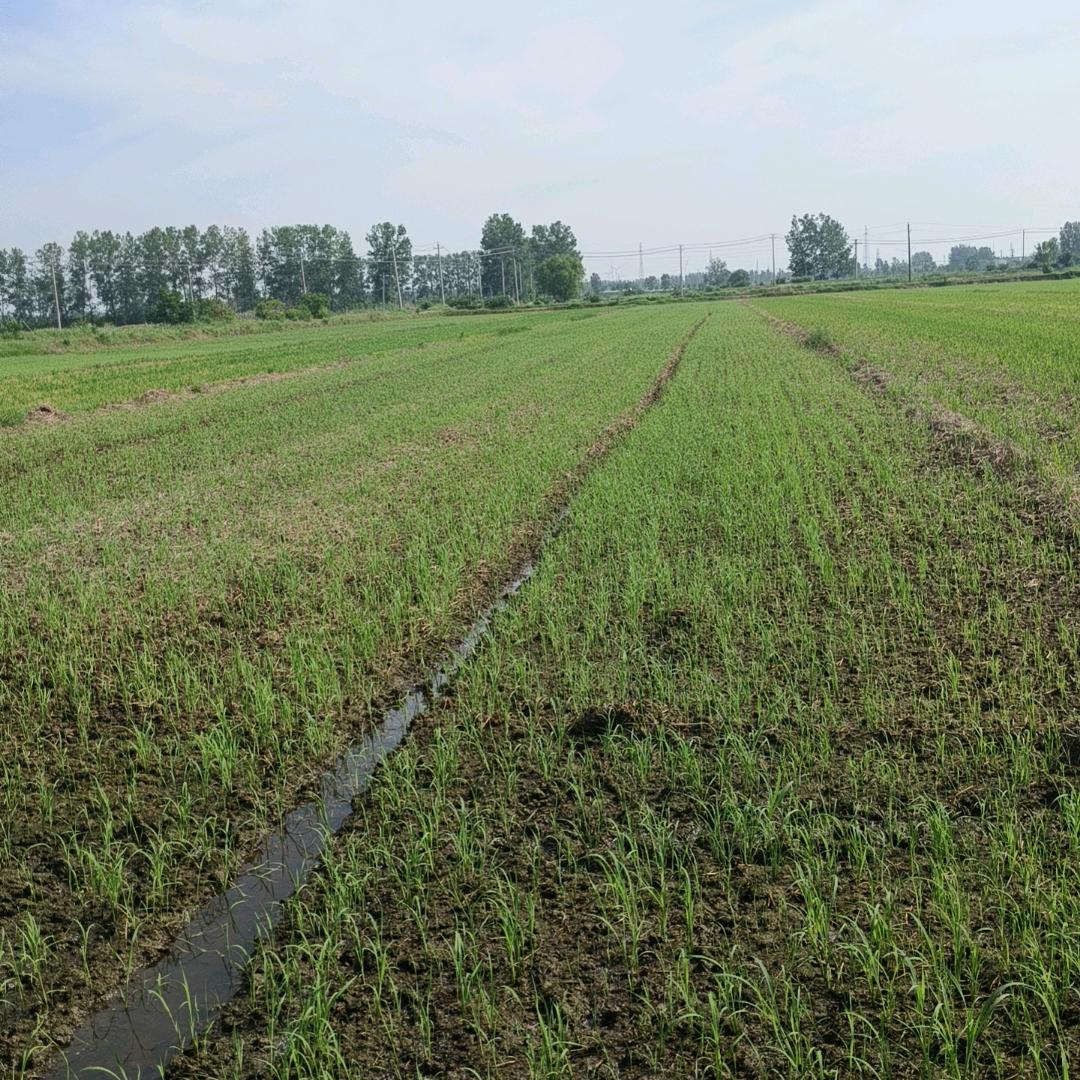 ℳঞ余生 💕 陪你❧到老⁵²⁰