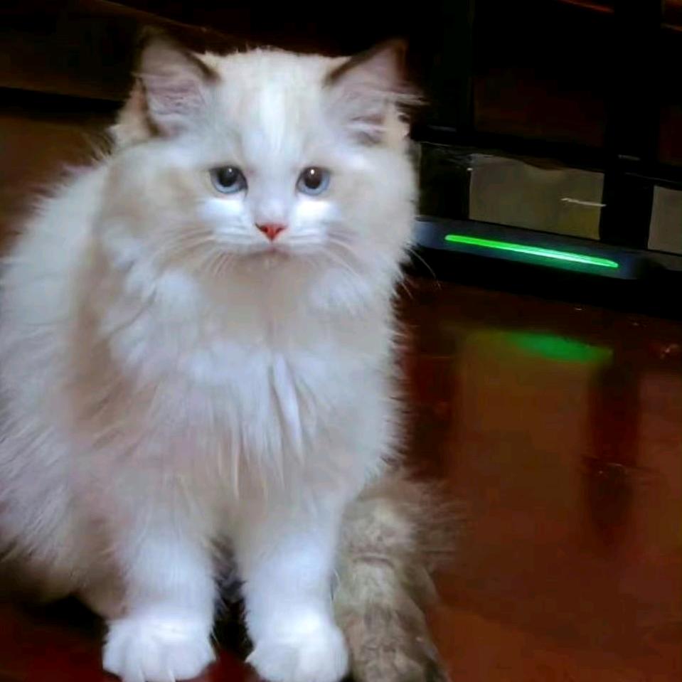 千禧嫁衣化妆师 鑫颖