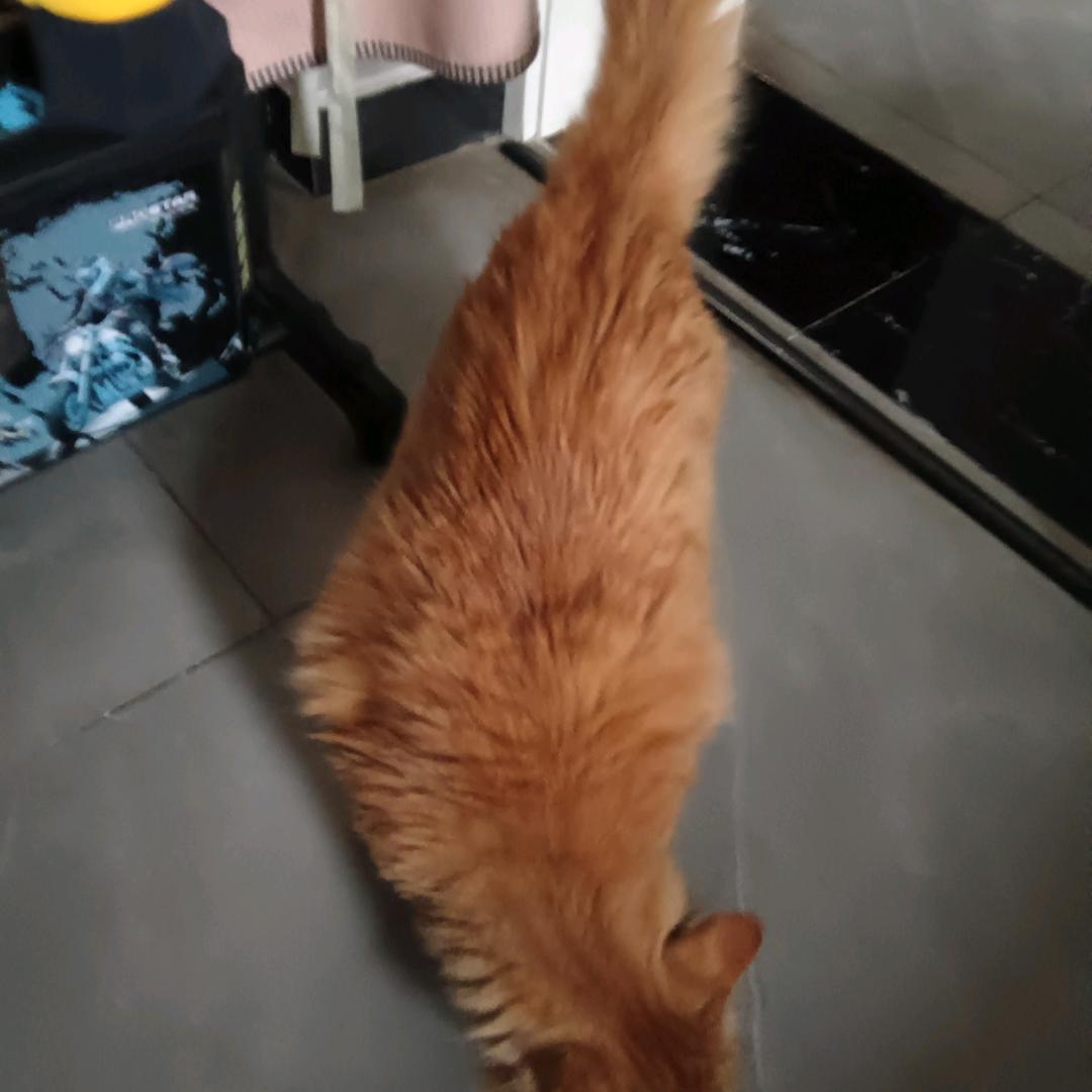 一生平安（皖S）