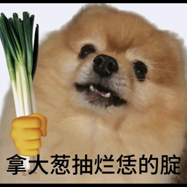 假装S一顿狂抽🌌