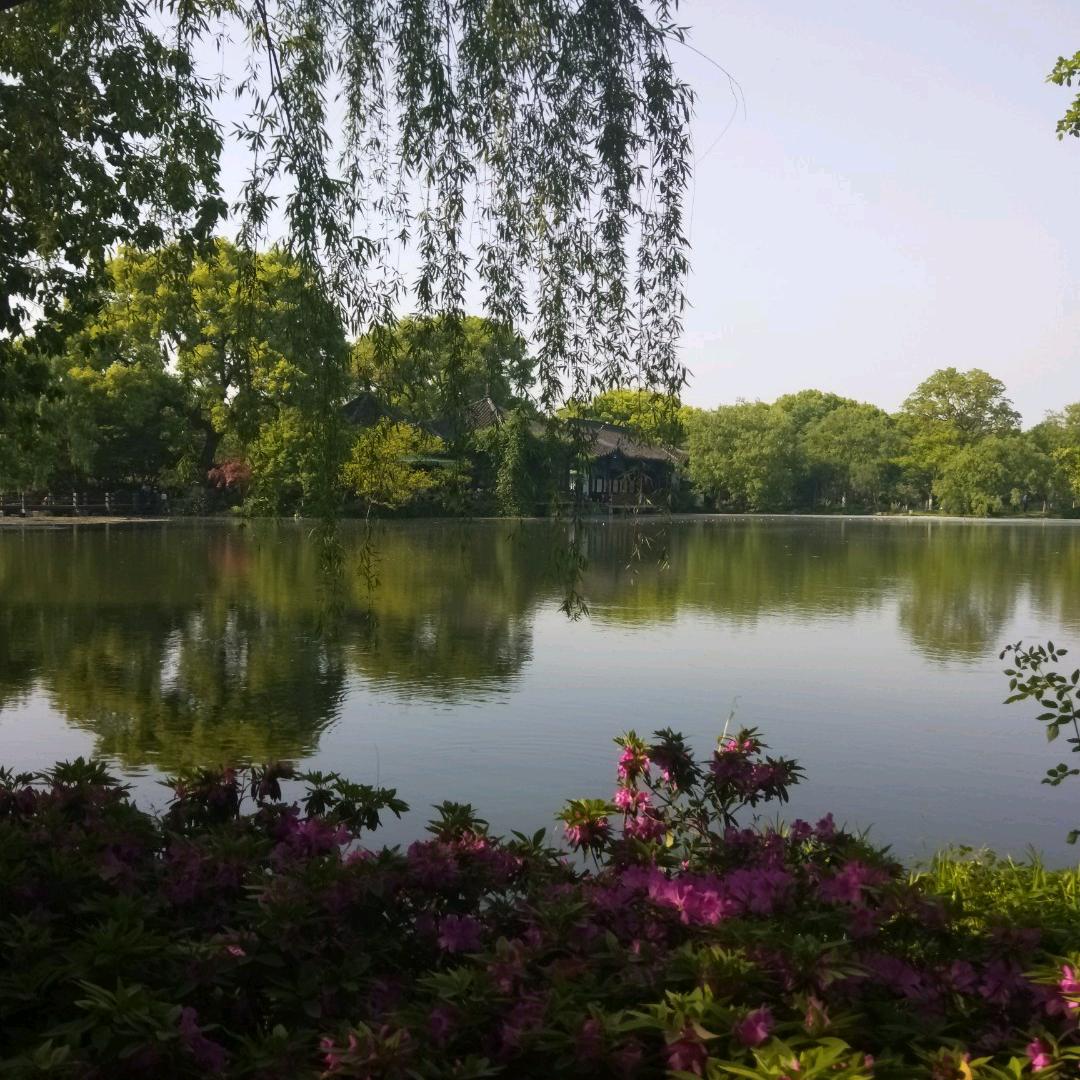 阅己  越己  悦己