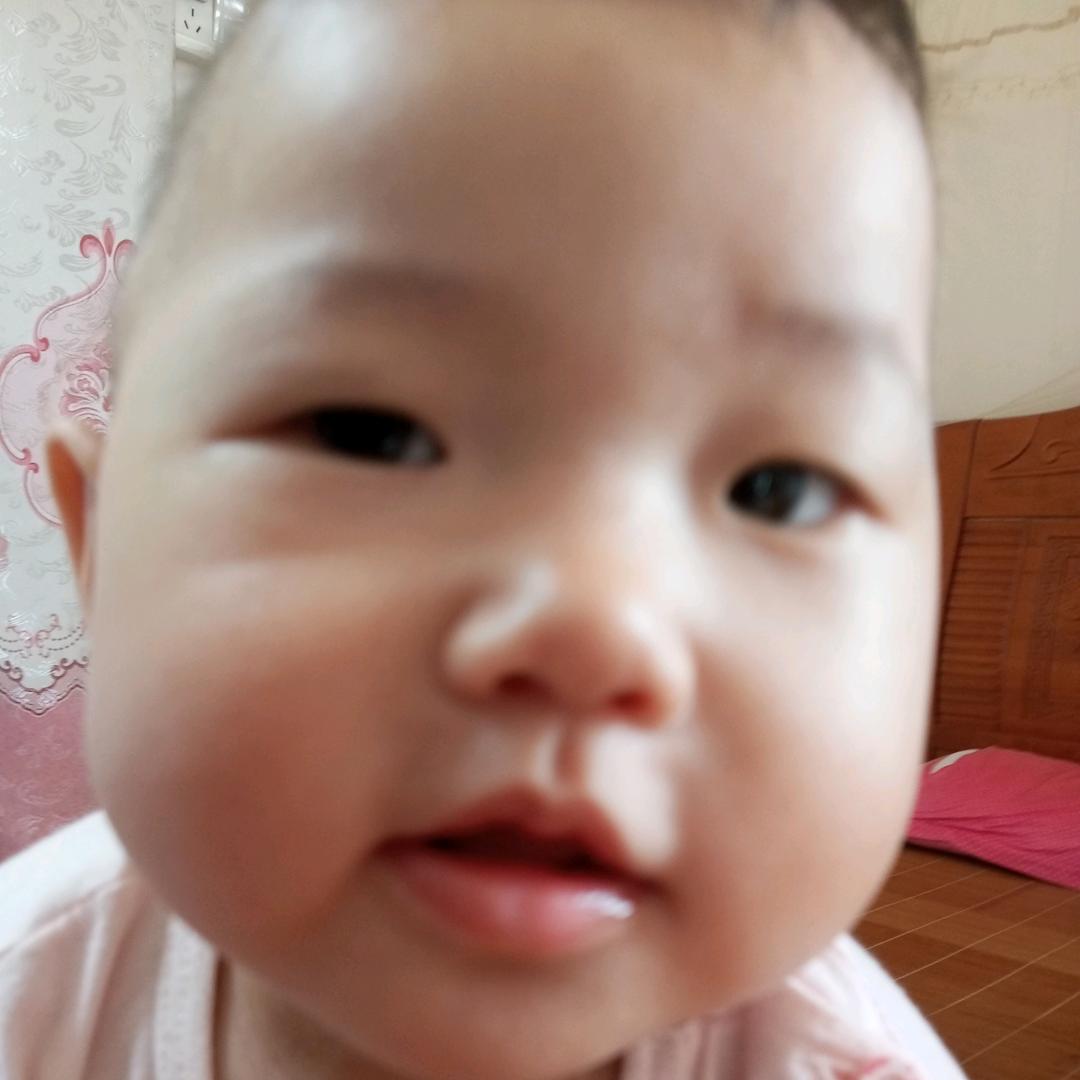 小宝爱拍