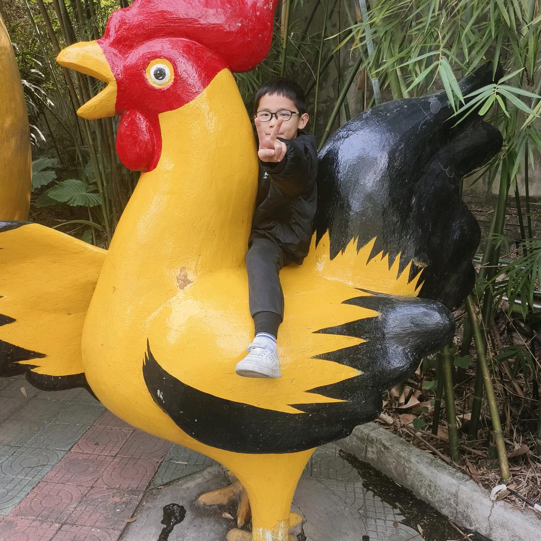 谢大姐