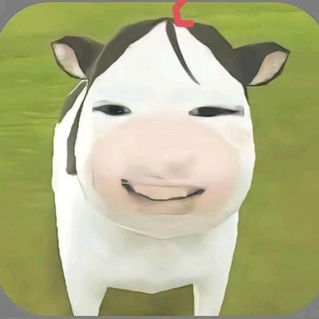 li
