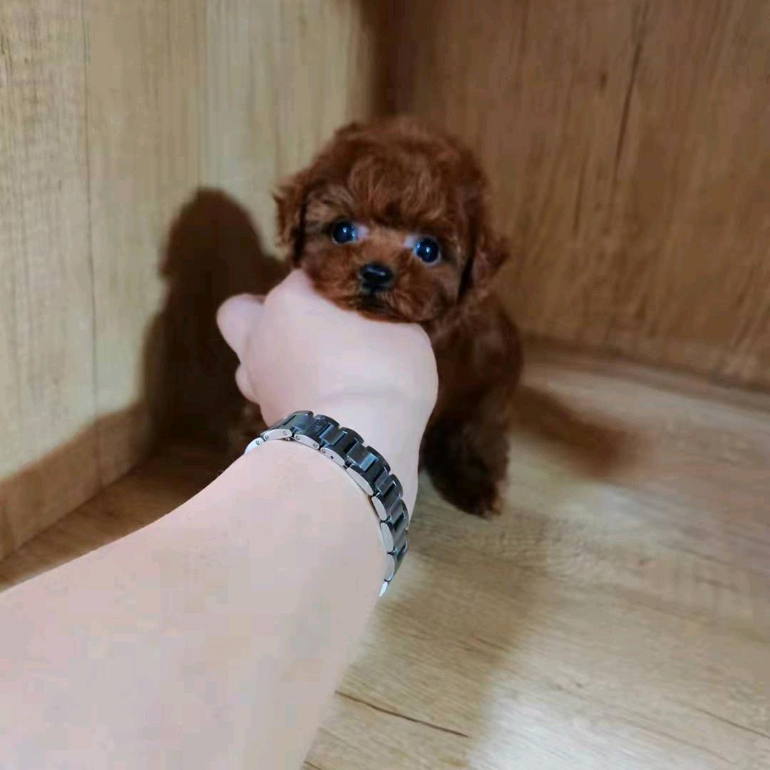 饲养员