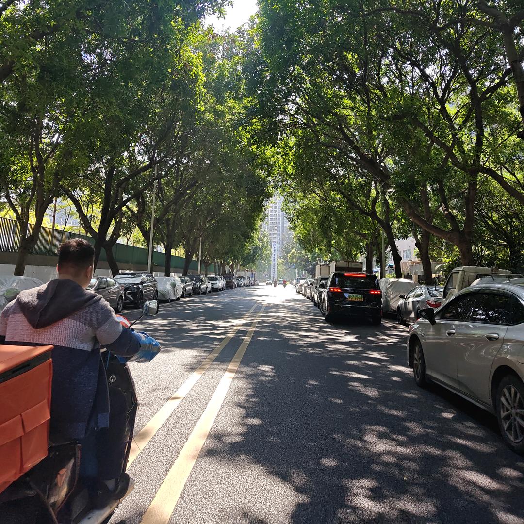 流放岭南~送外卖